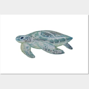 Watercolor Swimming Sea Turtle Posters and Art